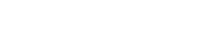 Northridge Analytics logo